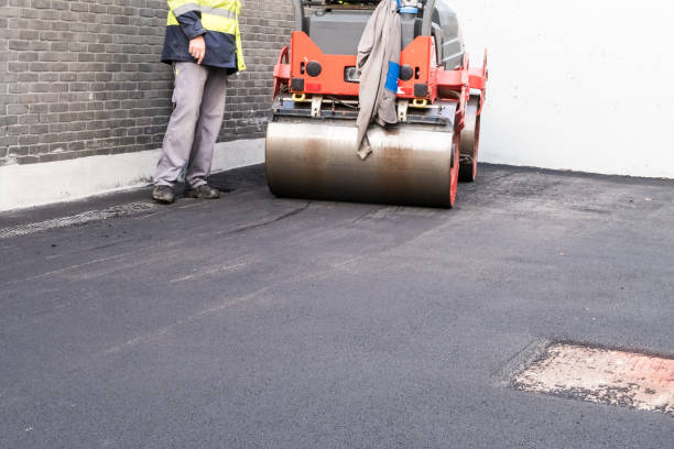 Best Driveway Grading and Leveling  in Asbury Lake, FL